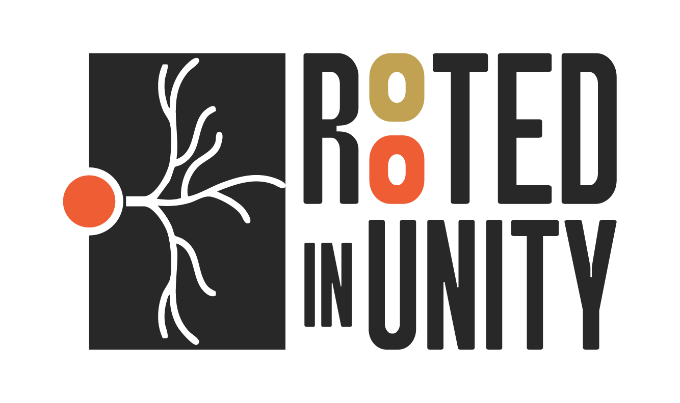 logo_RIU_horizontal_noir logo site internet projet Rooted In Unity