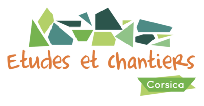 ECC logo